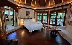 Jungle Cocoon